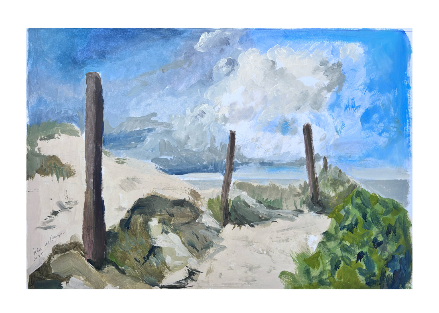 Vlieland duinpad naar zee