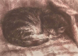 Dieren tekeningen van Henk Martin Hollebeek.