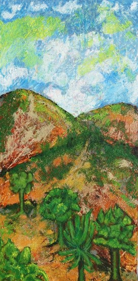 berglandschap
