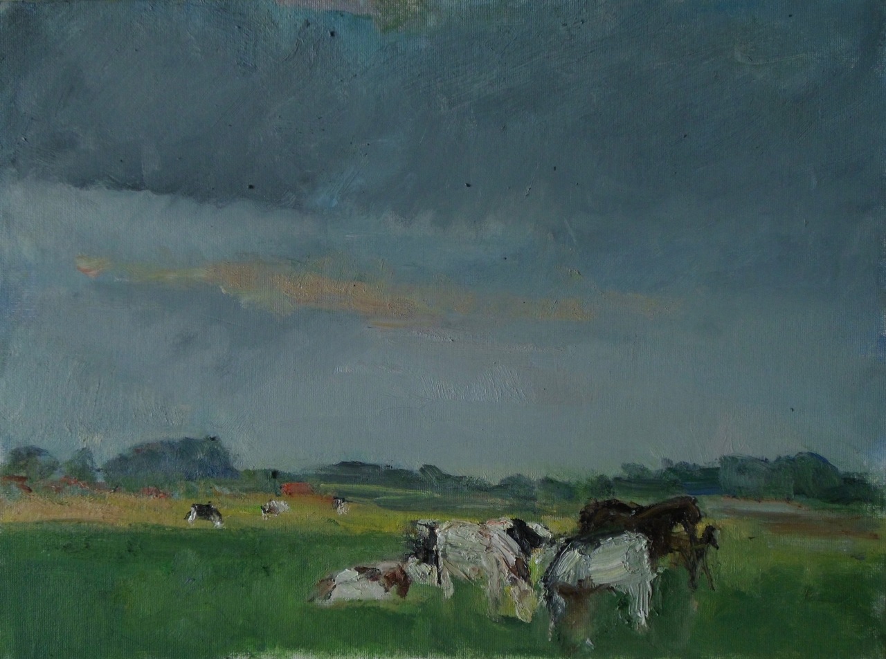 Landschap met vee in ondergaande zon