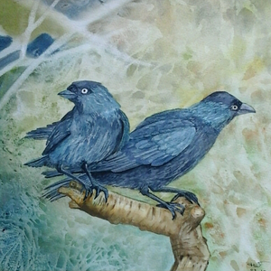 aquarellen