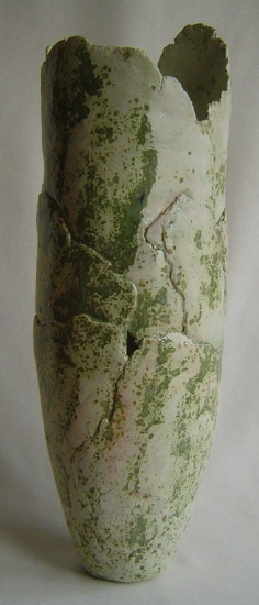 Lichen