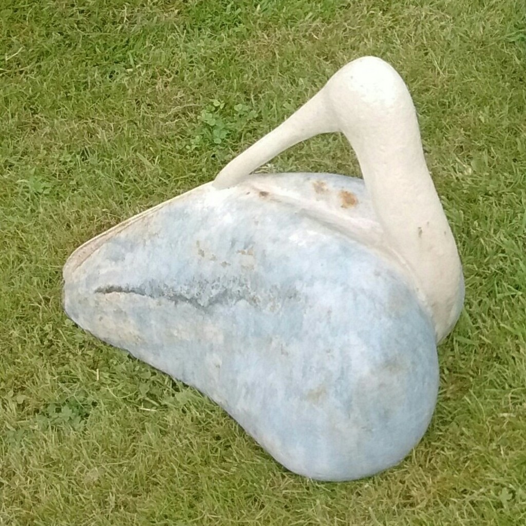 Oiseau bleu