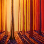 Bosgezicht/ bomen met een mooie lichtval en schaduwen