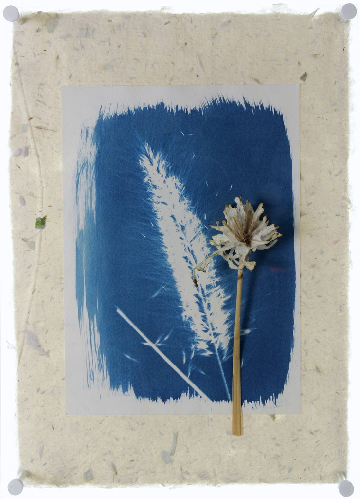 Sunprint VII