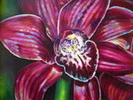 olieverf bloemen