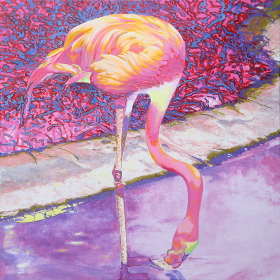 Flamingo
