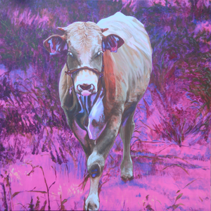 Een intuïtieve reeks schilderijen over dieren die mij raakten. Ze kwamen op mijn pad, niet toevallig maar met een stille bedoeling. Hun blik, hun aanwezigheid - als spiegels, boodschappers of zielsverwanten. Elk werk is een ontmoeting tussen werelden, vol symboliek, zachtheid en oerkracht.