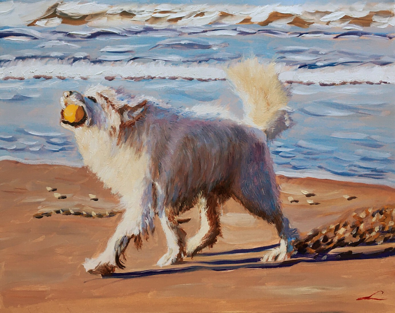 Hond bij de zee 6