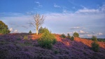 Even op de foto klikken voor een groter beeld