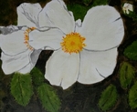 Bloemen.
