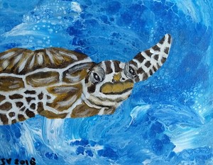 Dieren die in de zee leven