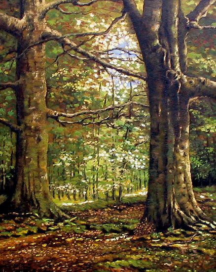 Beukenbomen