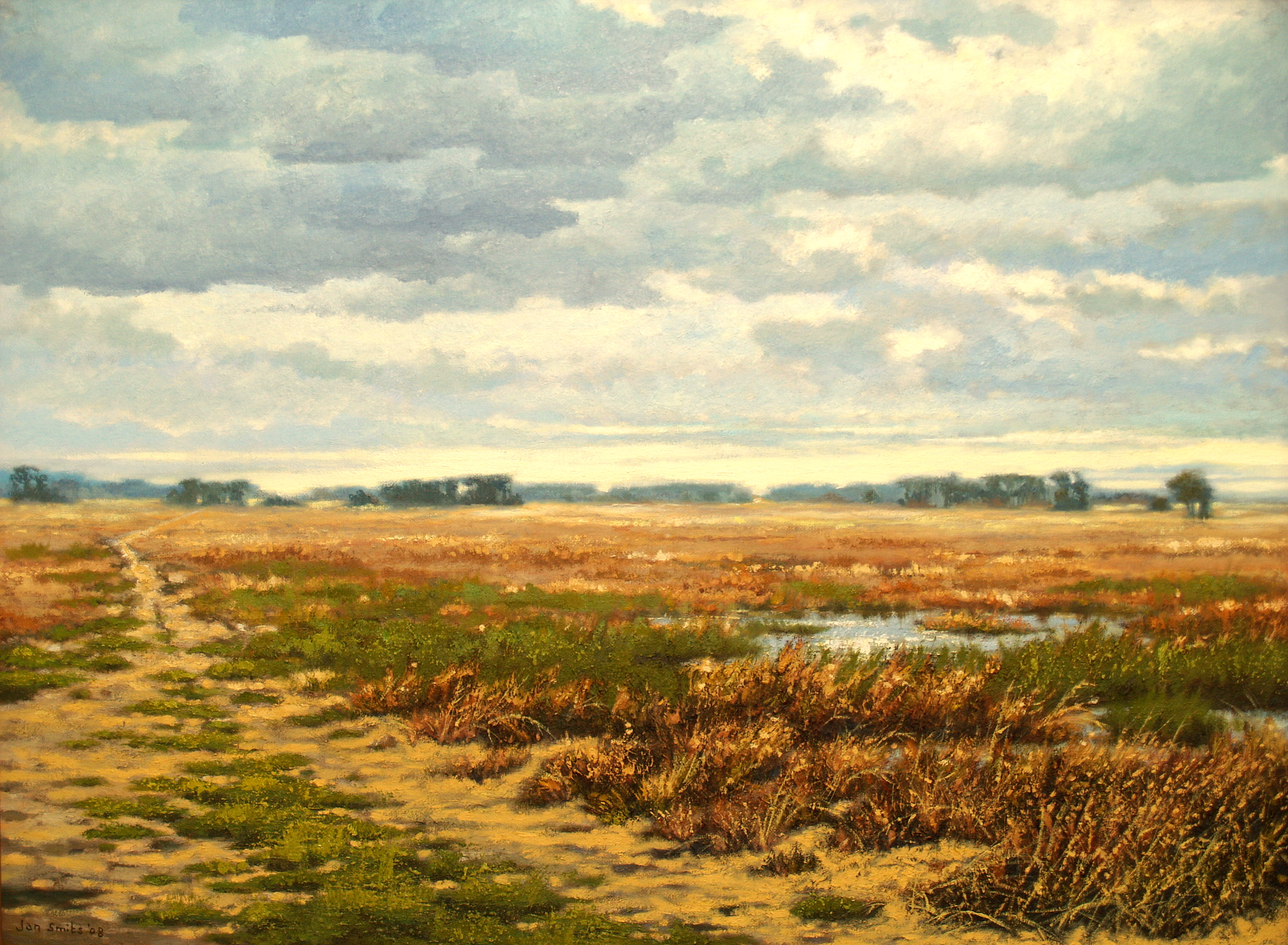 Vergezicht Strabrechtse Heide