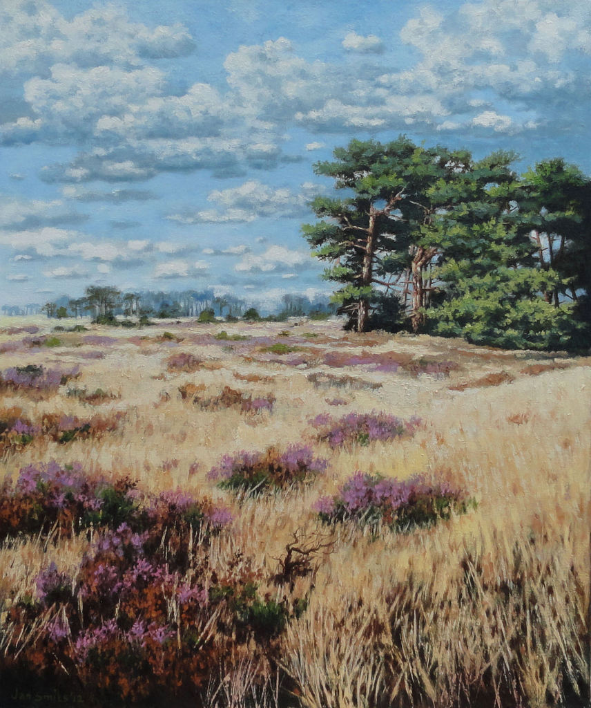 Strabrechtse heide 2