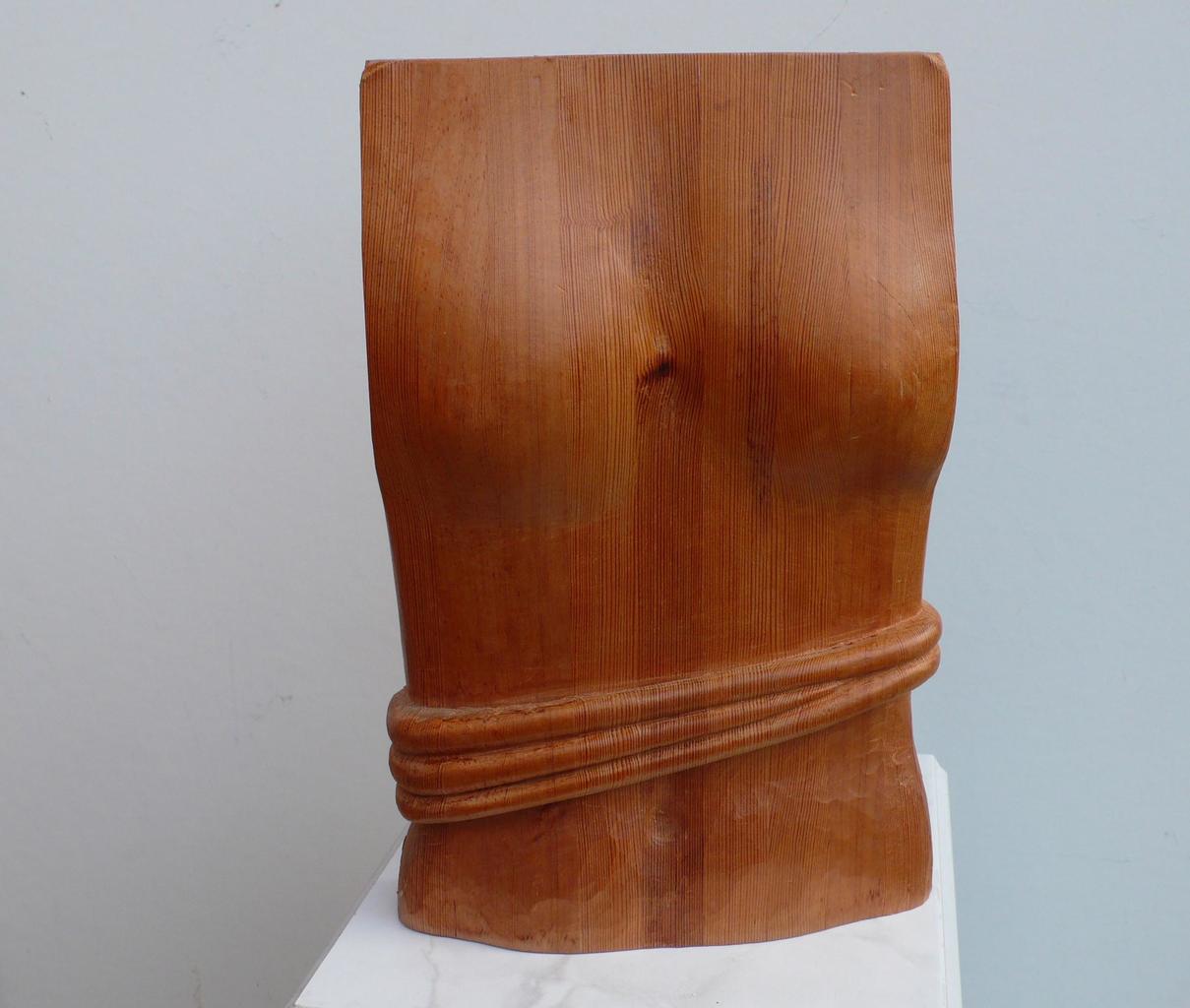 Torso