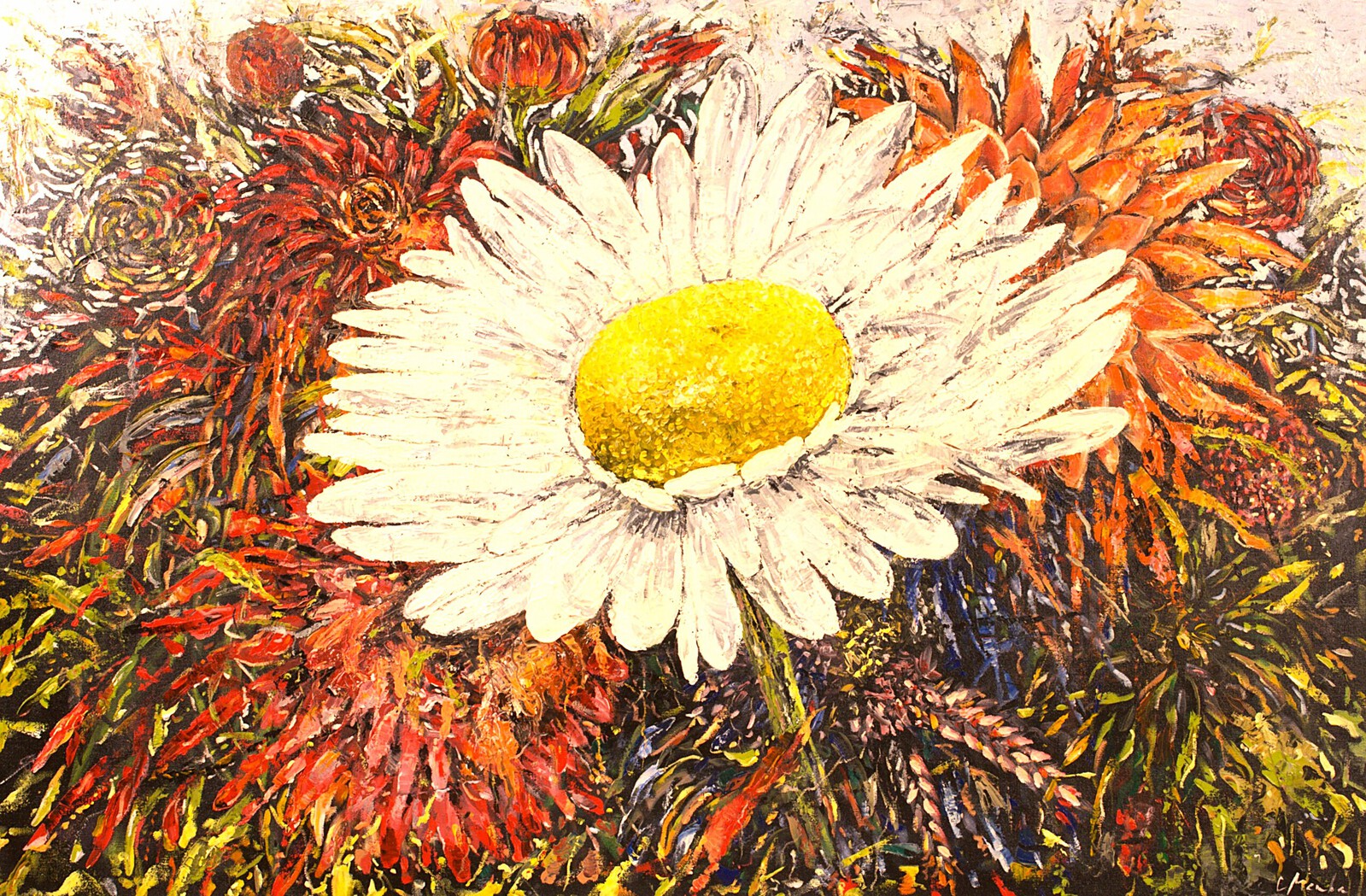 The Last Wild Daisy