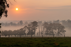 Klik 2x op de foto om deze in groter formaat te zien - Click 2x on the photo to see it in full size