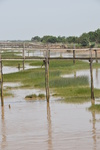 Fotowerk vanuit diverse thema's: Natuur, Architectuur, Mensen