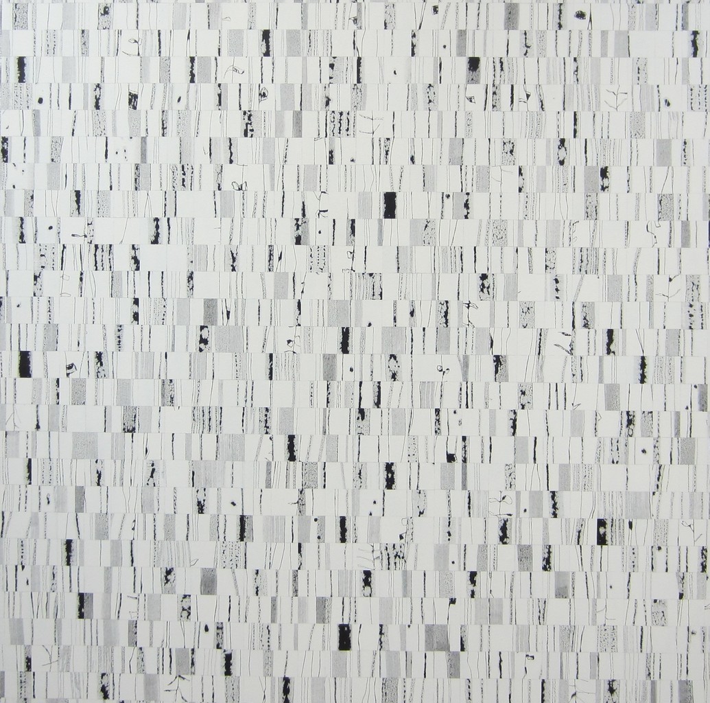 White 02
