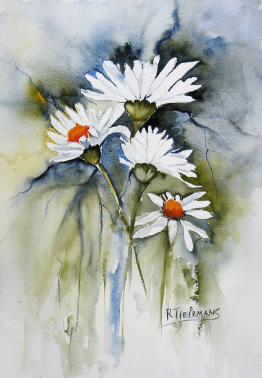 Witte Margrietjes, aquarel van bloemen