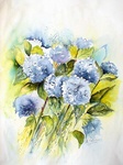Aquarel, bloemen