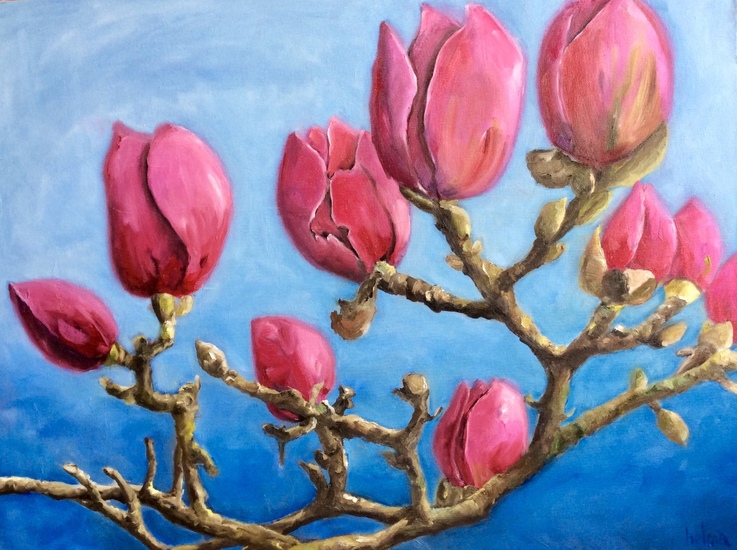 Magnolia