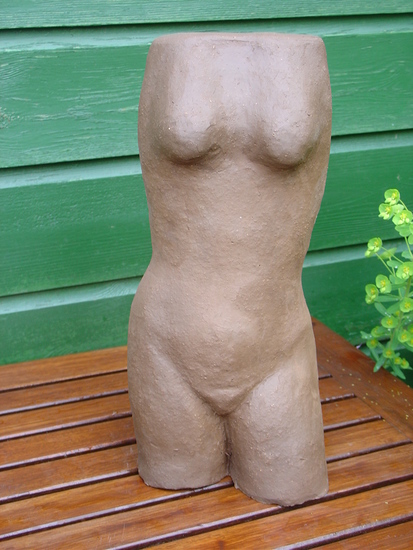 Torso 1