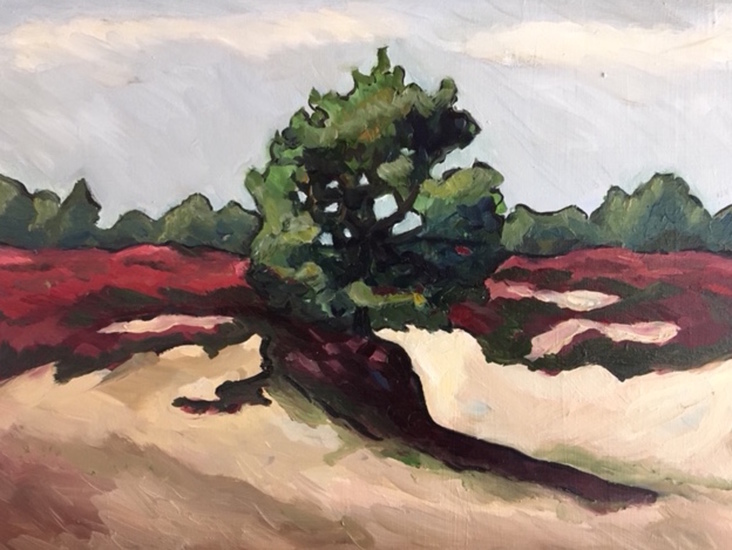 het Baloërveld