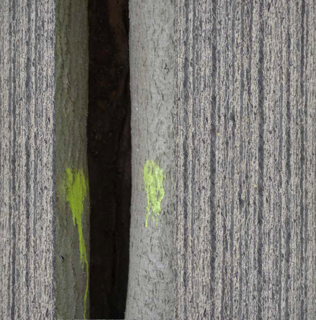 grafisch landschap Hole land 2