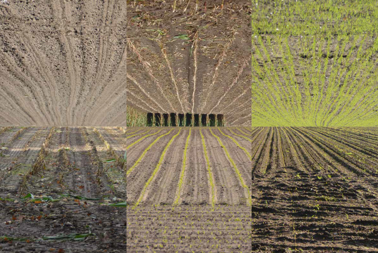 grafisch landschap Six acres