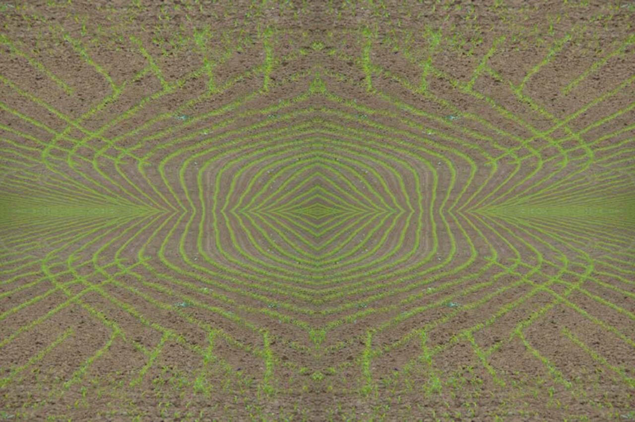 grafisch landschap Super nova terra II