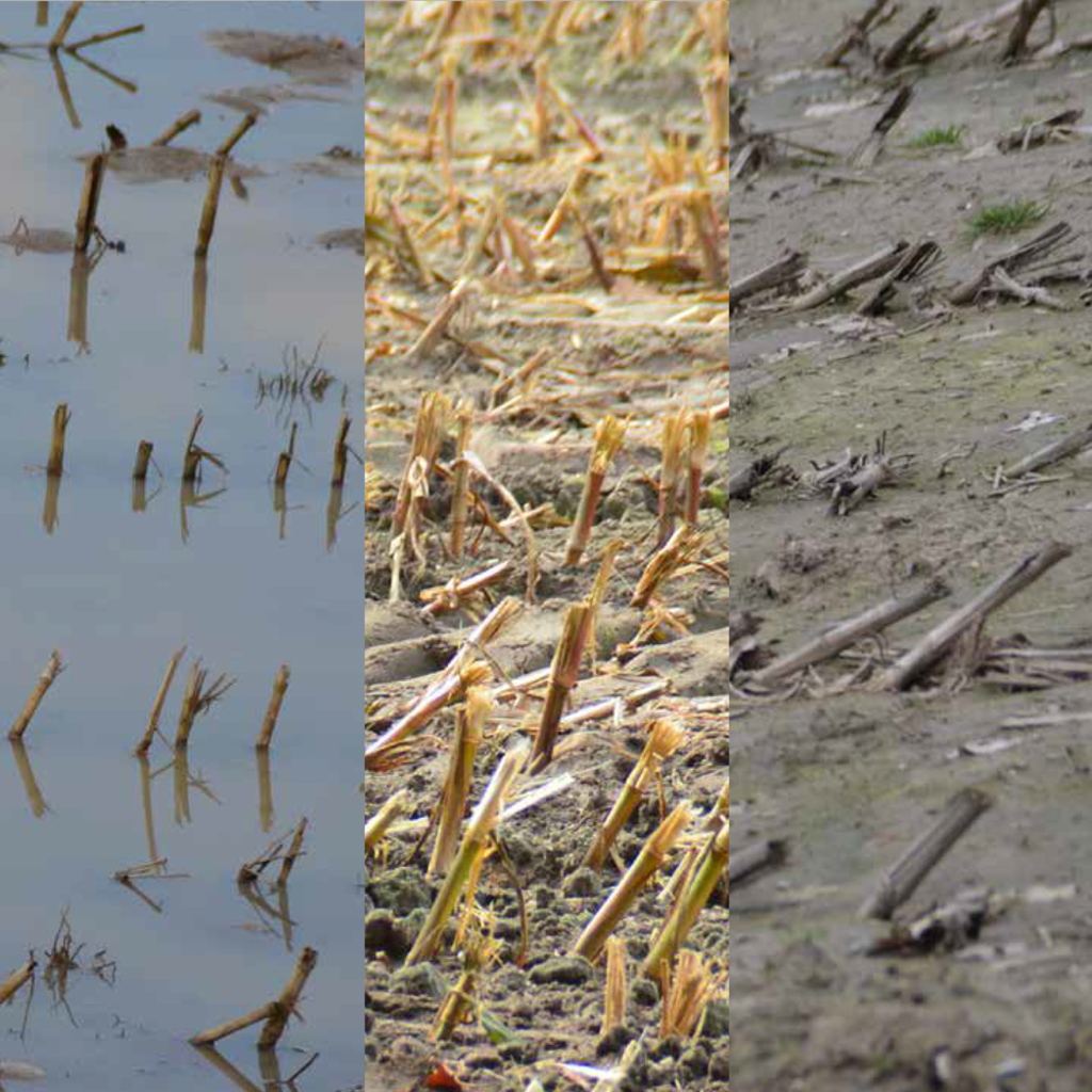 grafisch landschap Waiting land