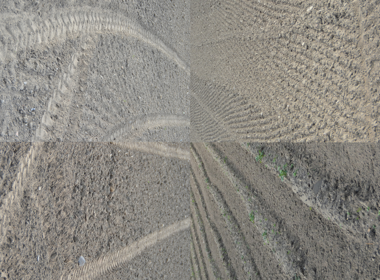 Scarified landscape