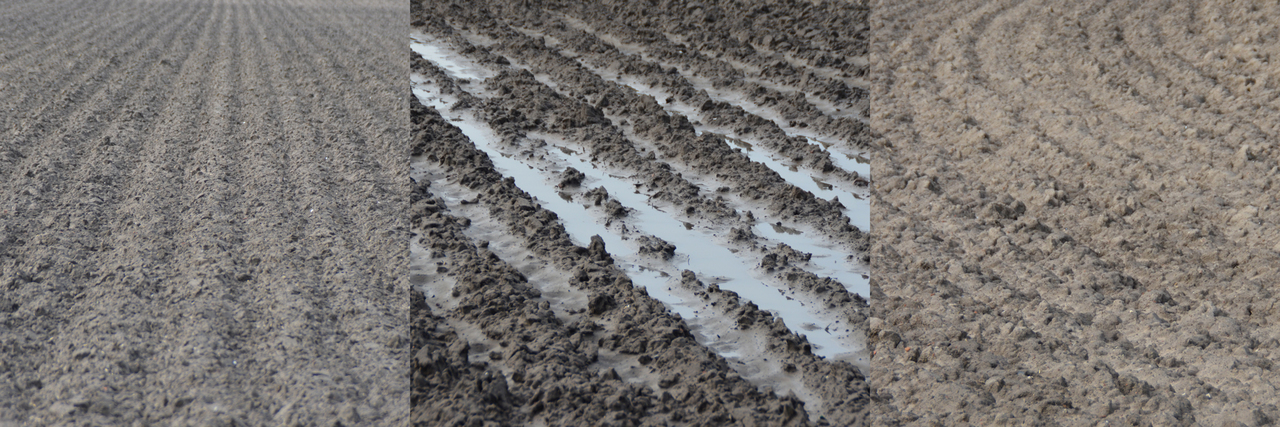 Adjustable Landscape I