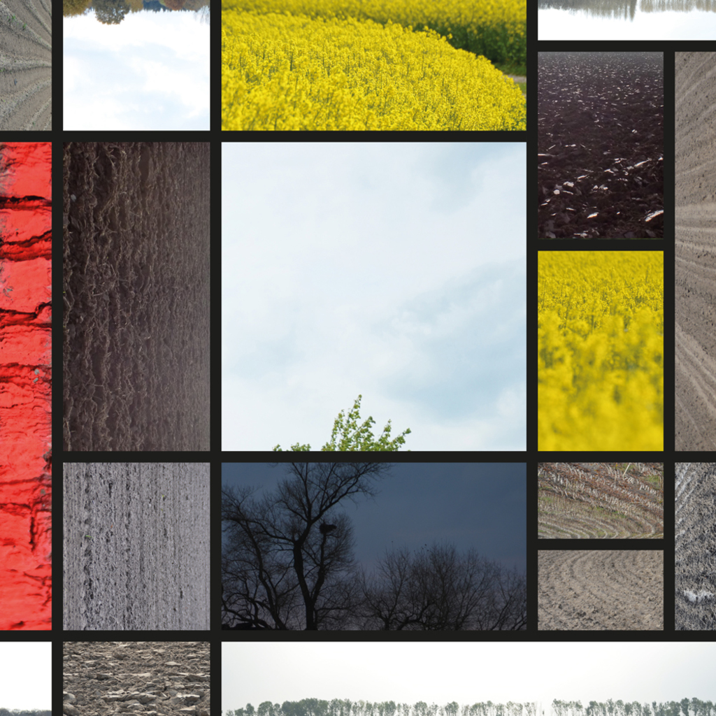 Grafisch landschap Mondriaan