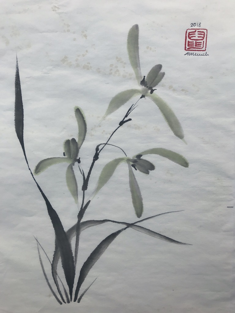 Chinese Orchid