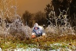 In deze groep heb ik foto´s geplaatst die zijn genomen met een sluitertijd van maximaal 60 seconden. De foto´s zijn in de winter van 2007 geschoten in het Amsterdamse Bos. De foto´s hebben een beperkte oplage van maximaal 3 stuks.