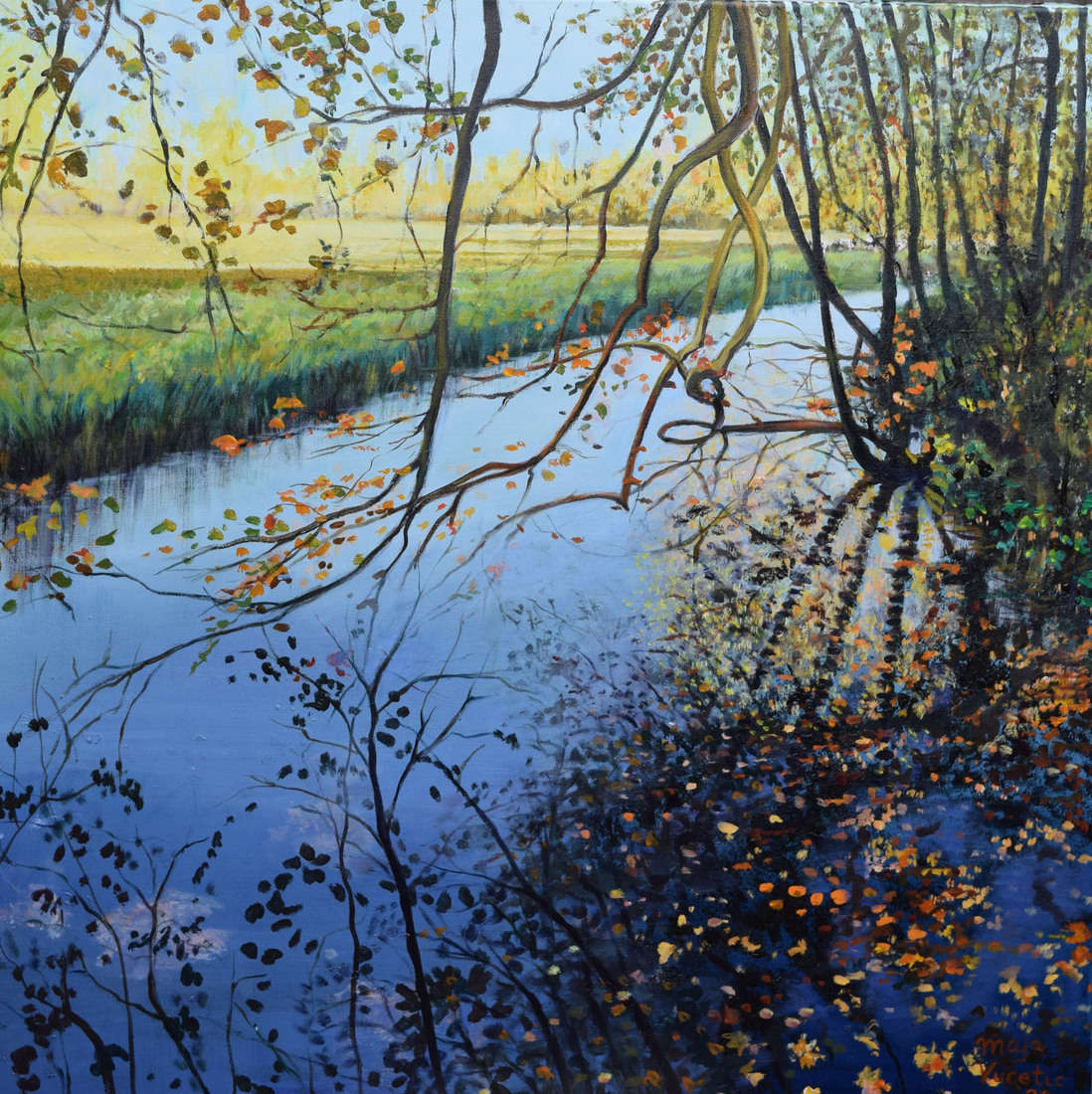 Herfst in Groenendaal I