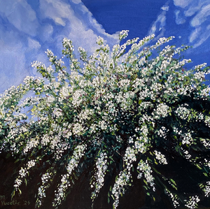 De lente laat op zich wachten en inspireert.