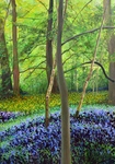 Engelse lente