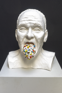 Gapers waren het uithangbord van apotheken en behoren tot Nederlands cultureel erfgoed. Mijn moderne Gapers leveren kritiek op de actuele problematiek in het medicijnengebruik. Dit onderwerp intrigeert mij als kunstenaar en als arts. Het proces van het maken van gapers was tijdrovend en spannend. Ik maakte eerst een beeld van klei, vervolgens een rubberen mal en afgietsels in acrylgips. Iedere basisbeeld afzonderlijk bouwde ik op met verschillende materialen, waaronder echte pillen.