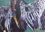 vogels