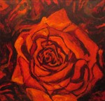 impressies van allerlei bloemen