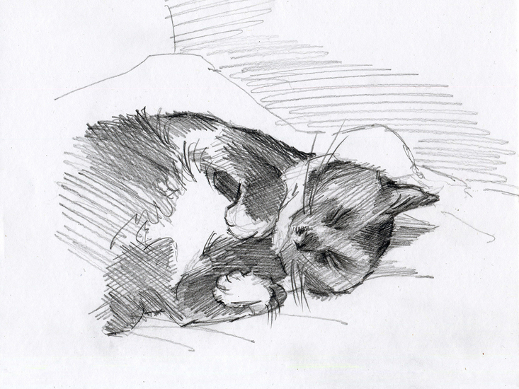 Slapende Kattin