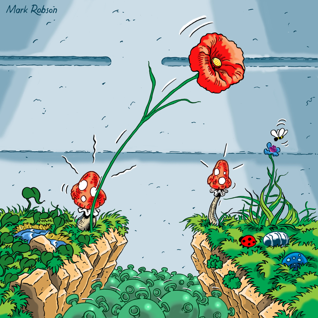 Niet de klaproos, noch de orchidee...