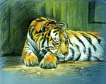 Getekende en geschilderde studies en portretten van dieren door Illustrator en Kunstenaar Mark Robson, uit Antwerpen.