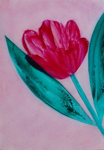 De bloemenschilderijen hebben een formaat van 20 x 30 of A4, tenzij anders aangegeven. Sommige kleine schilderijen zijn via de webwinkel te bestellen. Kleuren van schilderijen kunnen enigszins afwijken van de werkelijke kleuren. Vooral de blauwtinten zijn meestal warmer, hebben vaak meer geel en turquoise in zich, dan op de foto te zien is.