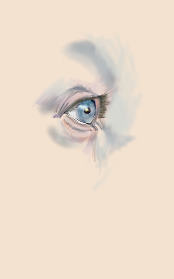 Oog Paul