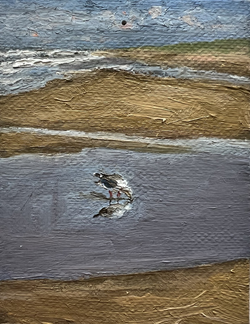 Spiegelbeeld